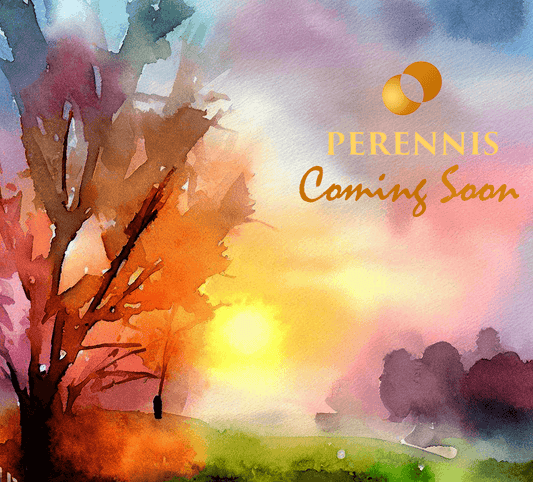 Introducing Perennis: Timeless Elegance Meets Respect & Quality - Perennis
